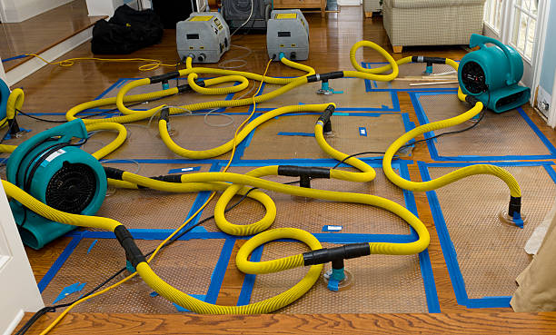Professional Crawl Space Water Removal technician working in Kingston, MI